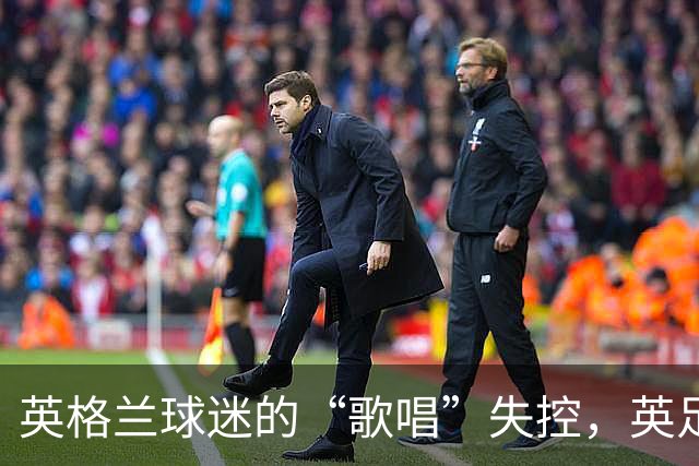 英格兰球迷的“歌唱”失控，英足总泪目反击！